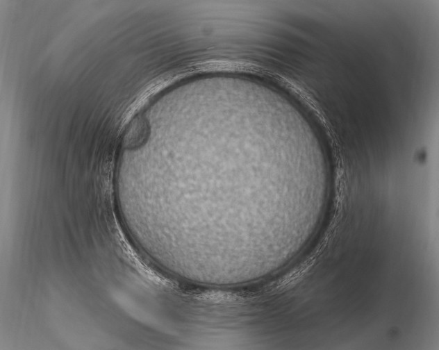 X0000115611033200912011546