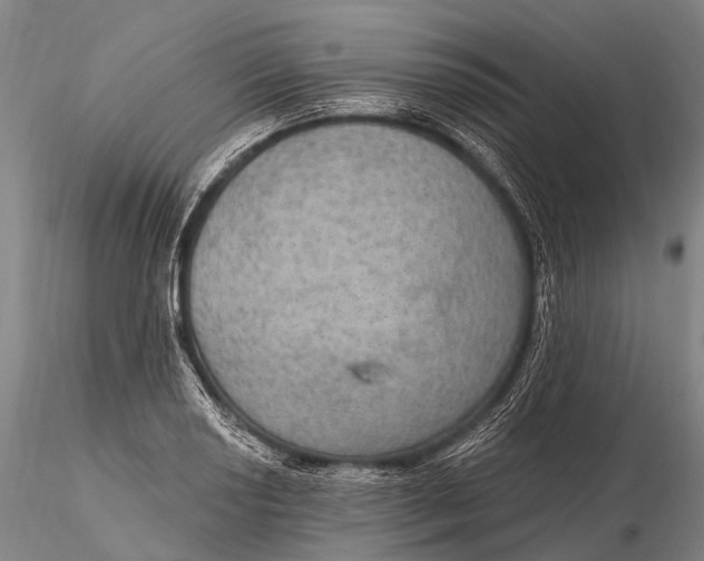 X0000115611034200912011546