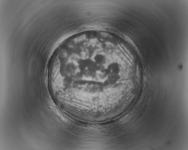 X0000115611035200912011546