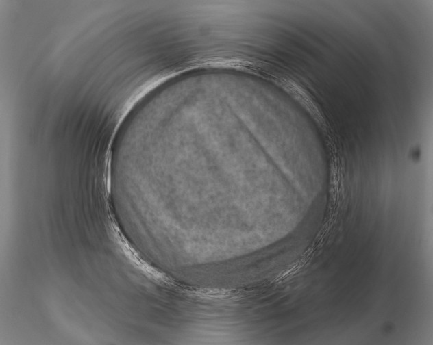 X0000115611036200912011546