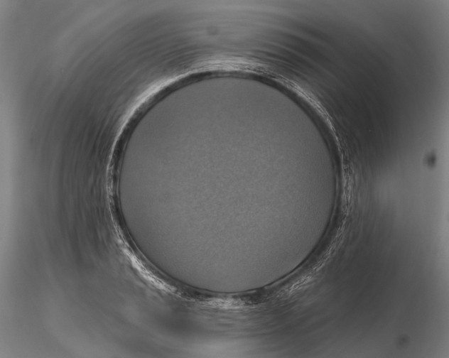 X0000115611037200912011546