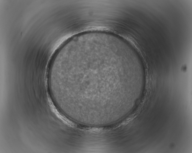X0000115611038200912011546