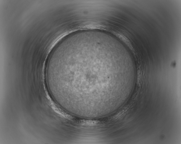 X0000115611039200912011546