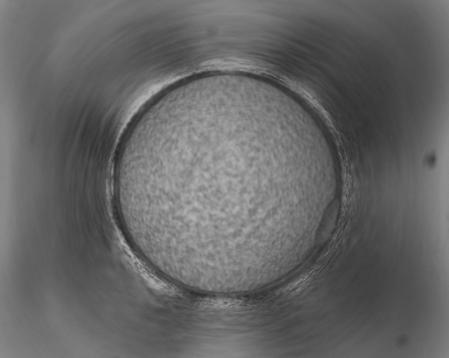 X0000115611040200912011546