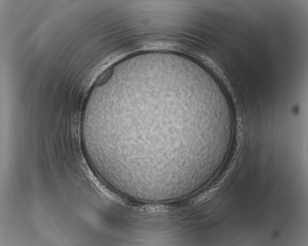 X0000115611041200912011546