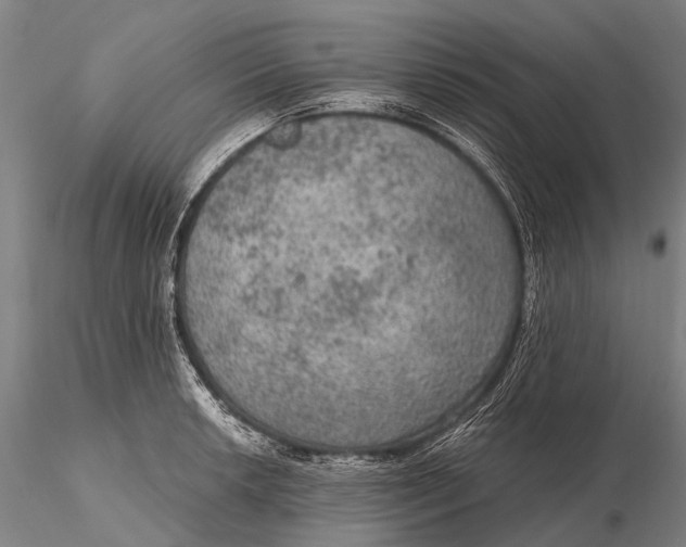 X0000115611042200912011546