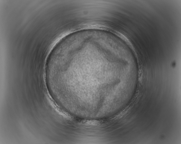 X0000115611043200912011546