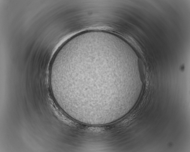 X0000115611044200912011546