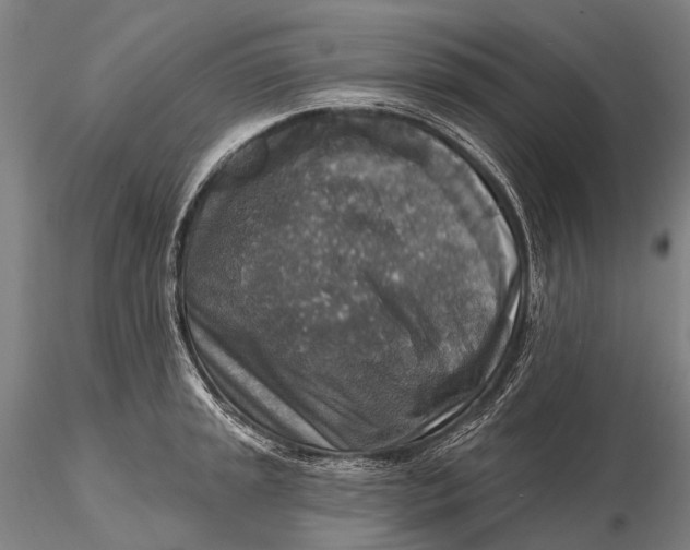 X0000115611045200912011546