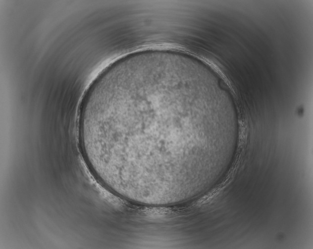 X0000115611046200912011546