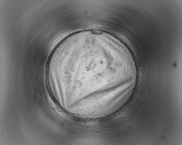 X0000115611047200912011546