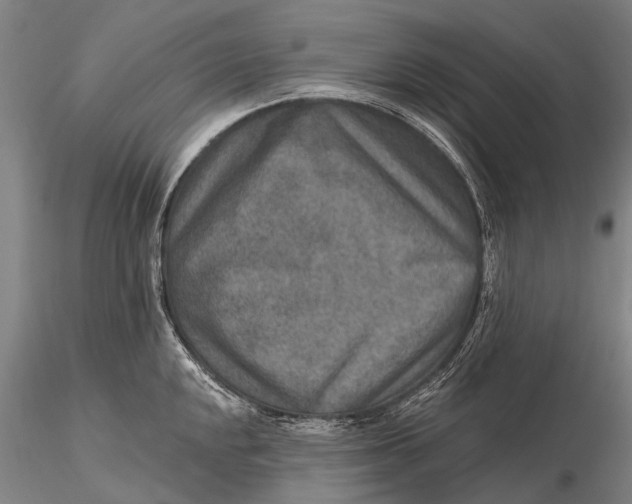 X0000115611048200912011546