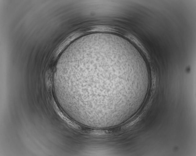 X0000115611049200912011546