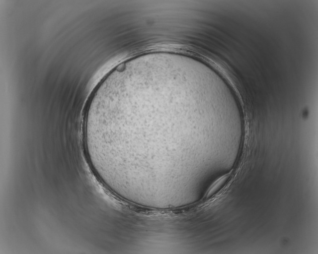 X0000115611050200912011546