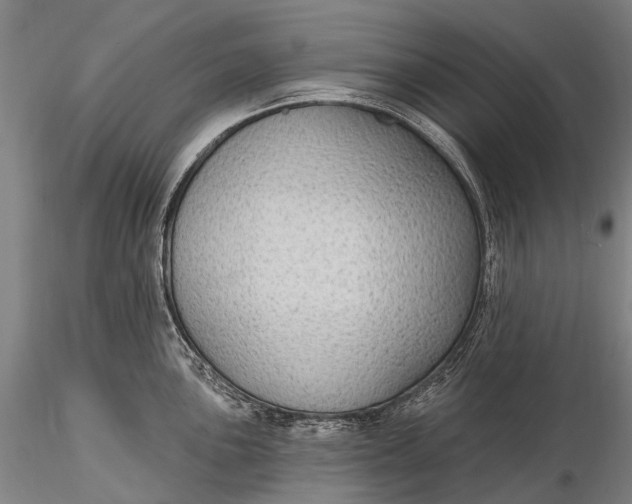 X0000115611051200912011546