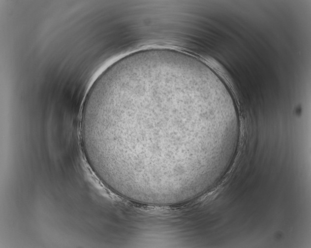 X0000115611052200912011546