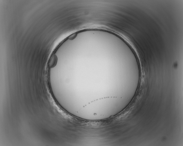 X0000115611053200912011546