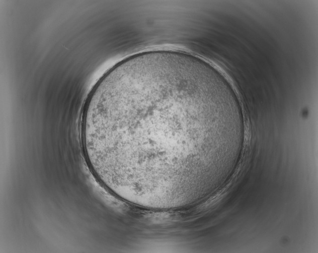 X0000115611054200912011546