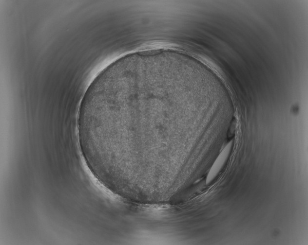X0000115611055200912011546