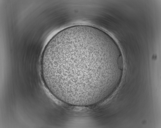 X0000115611056200912011546