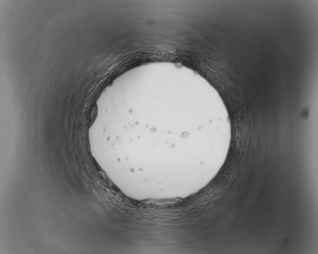 X0000115611057200912011545