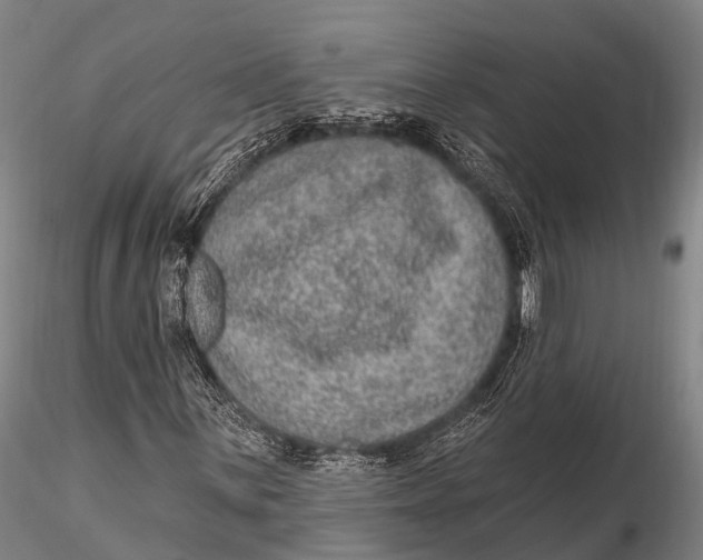 X0000115611059200912011545