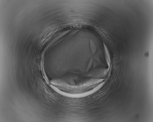 X0000115611060200912011545