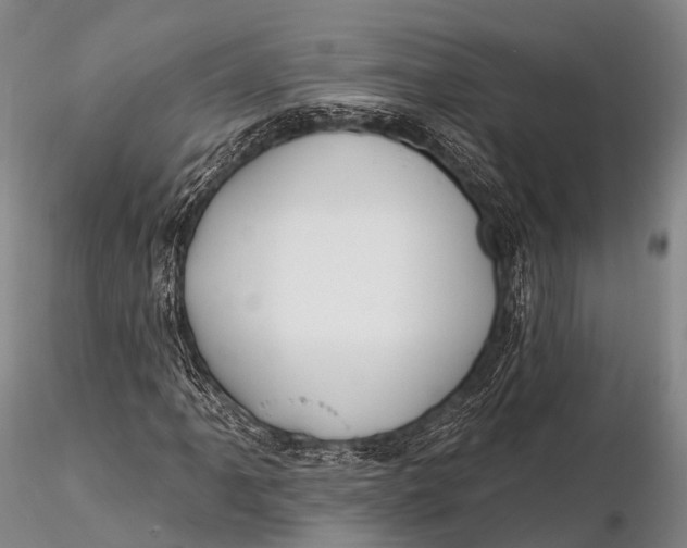X0000115611061200912011545