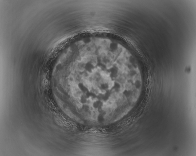 X0000115611063200912011545