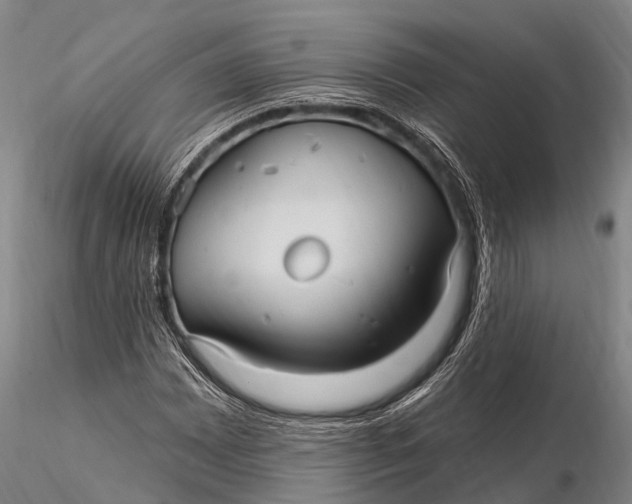 X0000115611065200912011545