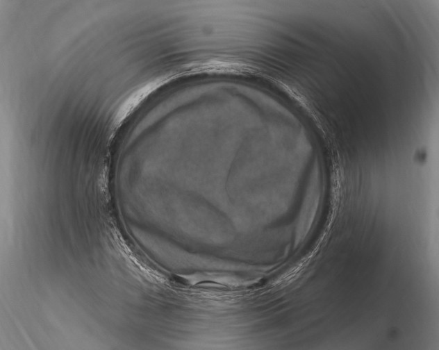 X0000115611066200912011545