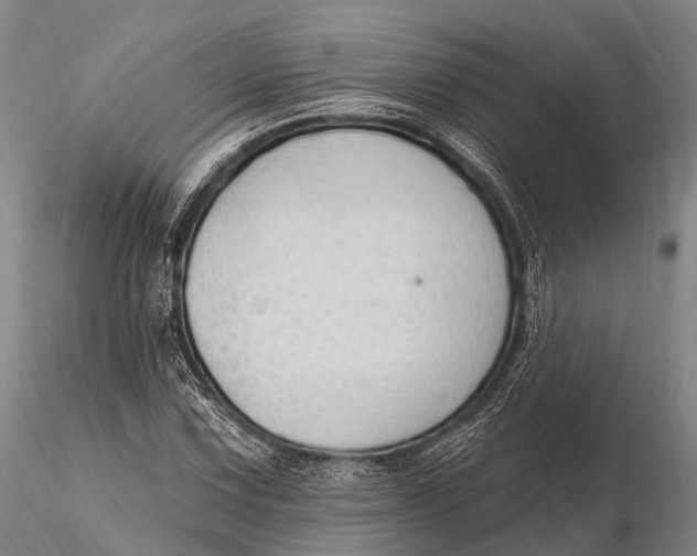 X0000115611067200912011545