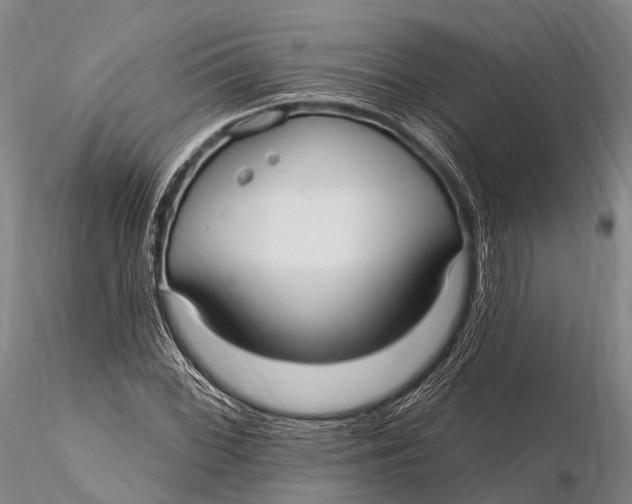 X0000115611068200912011545