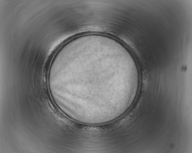 X0000115611070200912011545