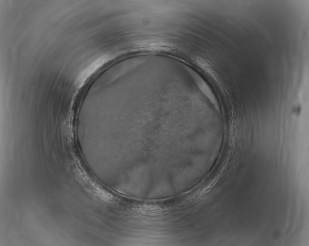 X0000115611071200912011545