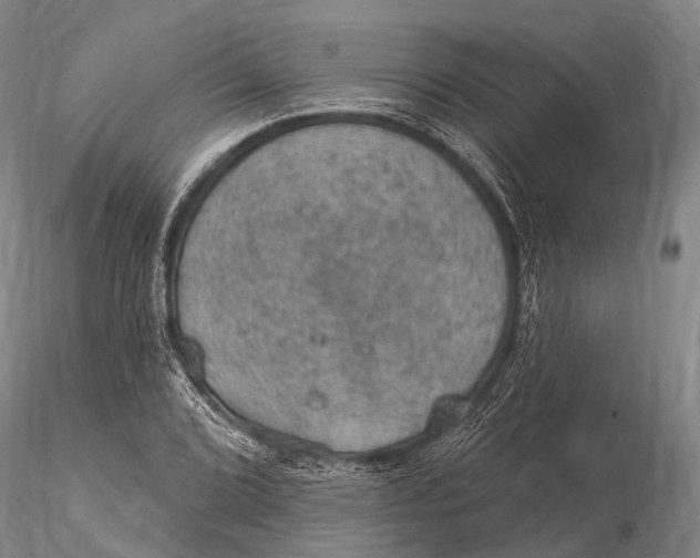 X0000115611072200912011545
