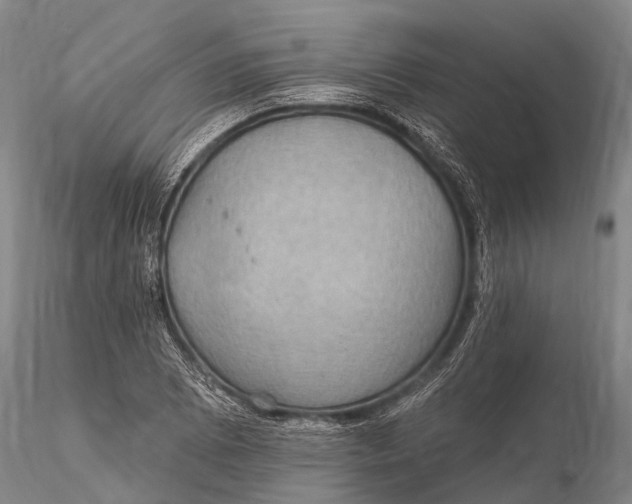 X0000115611073200912011545