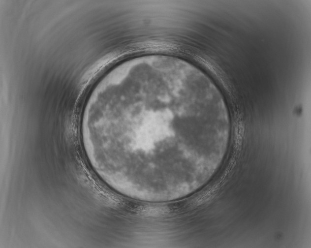 X0000115611074200912011545
