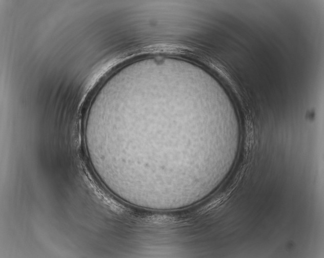 X0000115611075200912011545
