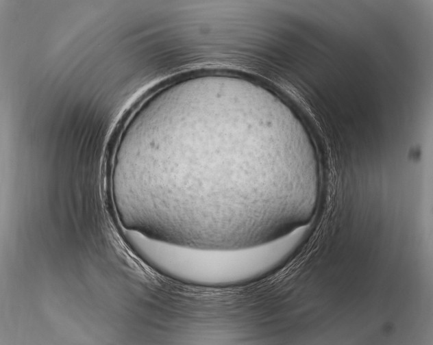 X0000115611076200912011545