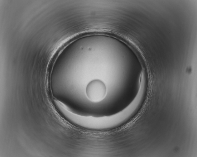 X0000115611077200912011545