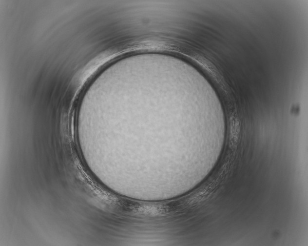 X0000115611078200912011545