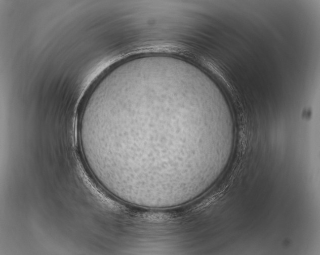 X0000115611079200912011545