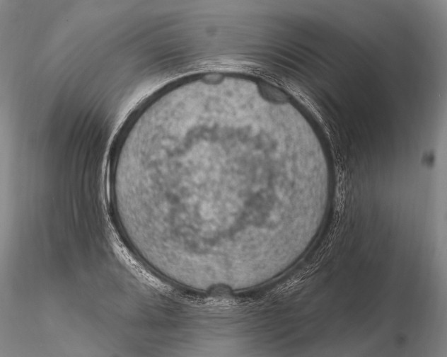 X0000115611080200912011545