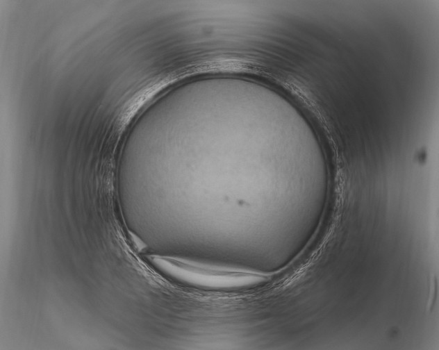X0000115611081200912011545