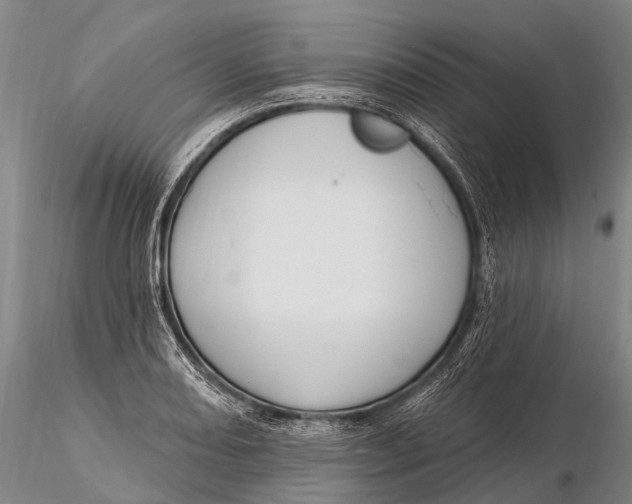 X0000115611082200912011545