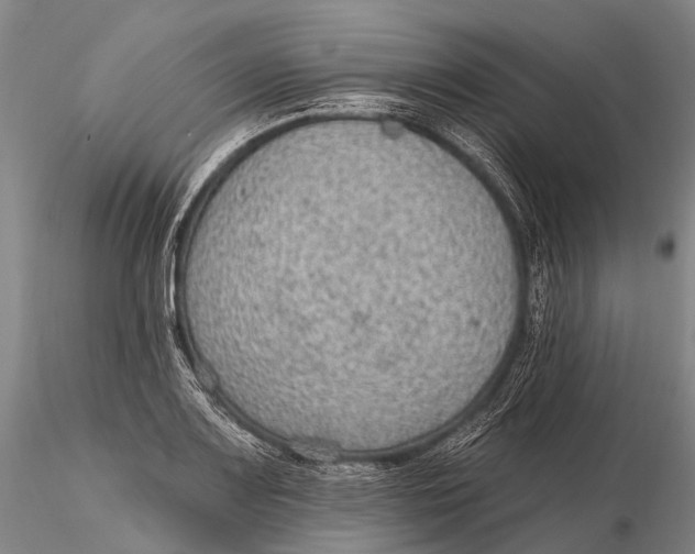 X0000115611083200912011545