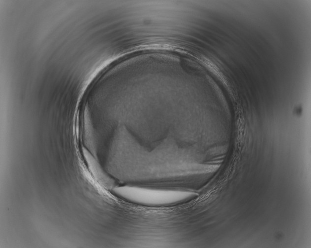 X0000115611084200912011545