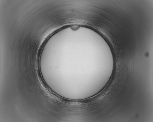 X0000115611085200912011545