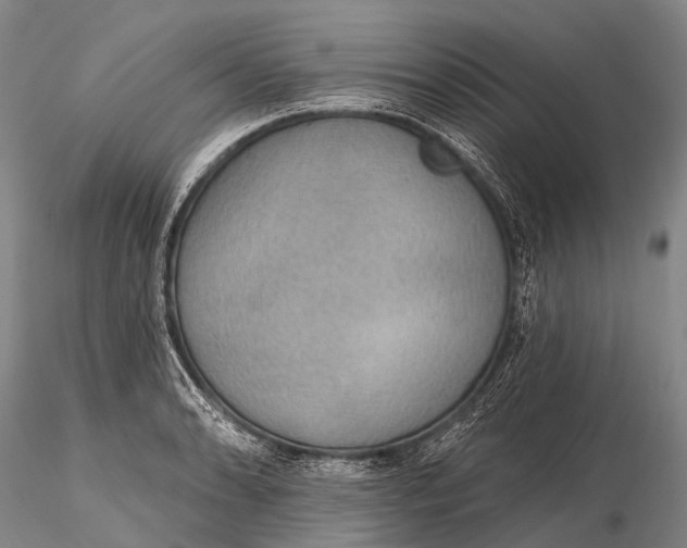 X0000115611086200912011545